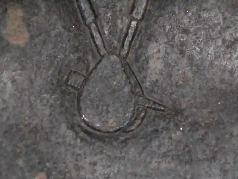 Statue of Senwosret III, pierced heart-like pendant